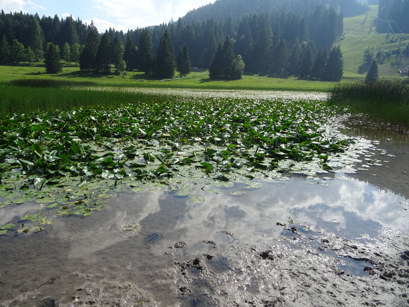 Laghi.......del TRENTINO